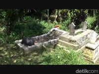 Tentang Makam Tan Malaka dan Rencana Pemindahan dari Kediri ke Limapuluh Kota