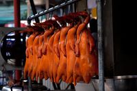 Begini Cara Mengolah dan Menyantap Bebek Peking