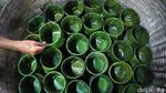 Manis Kenyal Kue Keranjang Khas Imlek yang Sarat Makna