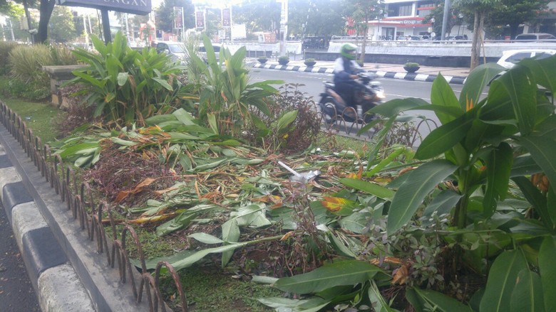 Begini Rupa Taman  di Jalan Pahlawan yang Rusak