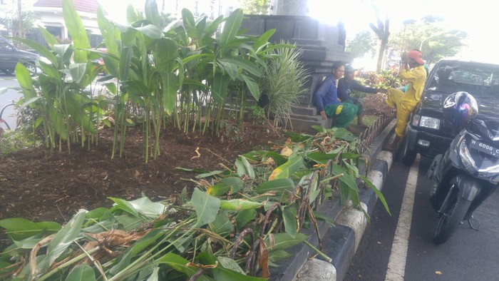 Butuh Rp 50 Juta Memperbaiki Taman Rusak Akibat Ulah Pendemo