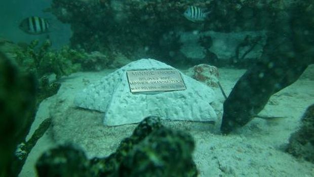 Beberapa cetakan karya seni yang dijadikan tempat menaruh abu kremasi (Neptune Memorial Reef/Facebook)