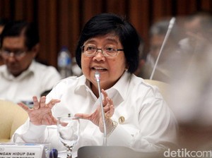 Pemerintah Kumpulkan Data untuk Memproses Hukum Caledonian Sky