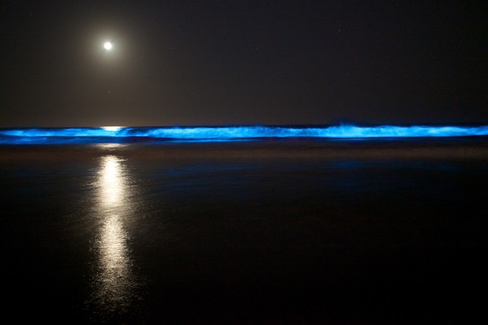 Cahaya di air oleh aktivitas plankton