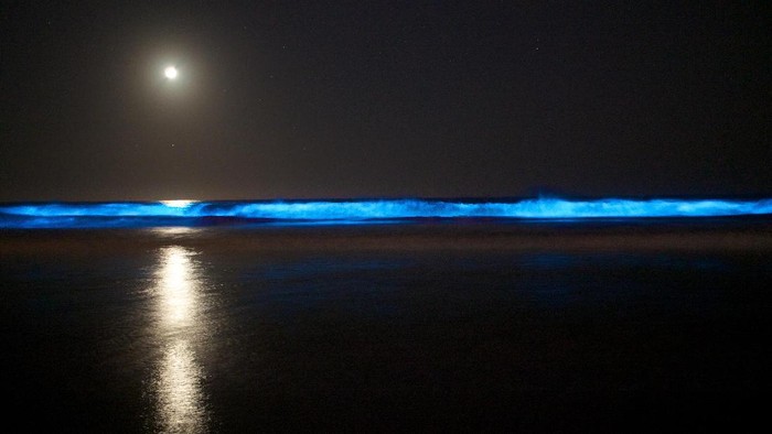 Cahaya di air oleh aktivitas plankton