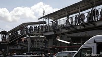 Dari lokasi yang lebih tinggi, mereka nampak melihat jelas lokasi kebakaran.