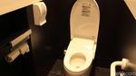 Mengagumi Galeri Toilet di Bandara Narita, Jepang