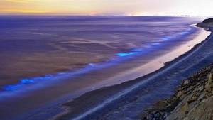 Laut Selatan Jawa Bercahaya