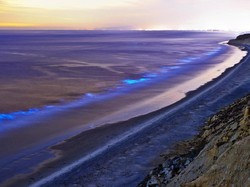Laut Selatan Jawa Bercahaya