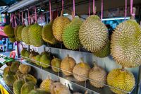 Ilmuan Berhasil Ciptakan Aroma Harum Durian dari 2 Bahan Kimia