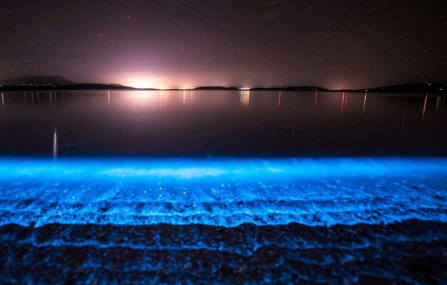 Ajaib! Wisata Malam ke 4 Pantai Bercahaya