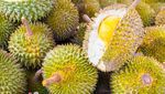 Segudang Manfaat Kesehatan Durian Si Raja Buah