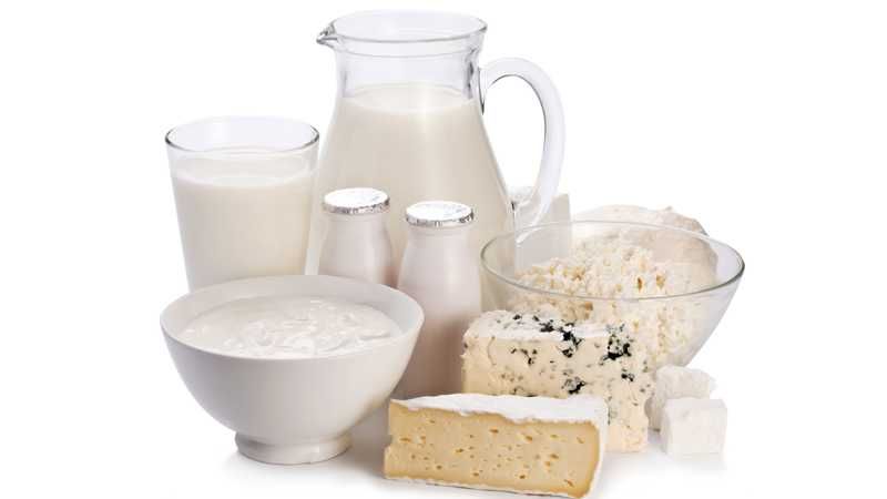konsumsi susu dan keju di amerika