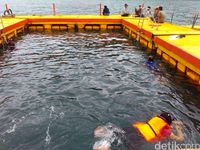 Selain kulineran, pengunjung bisa snorkelingan 