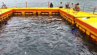 Ia berbentuk rumah apung bernama Rembeng Raya. Lokasinya tepatnya berada di Desa Tasikmadu, Kecamatan Watulimo, Kabupaten Trenggalek. Traveler dapat mengakses tempat ini dengan naik kapal wisata, dari Pantai Pasir Putih, Pantai Simbaronce dan Pantai Bangkokan, dengan waktu tempuh 10 menit (Adhar/detikTravel)