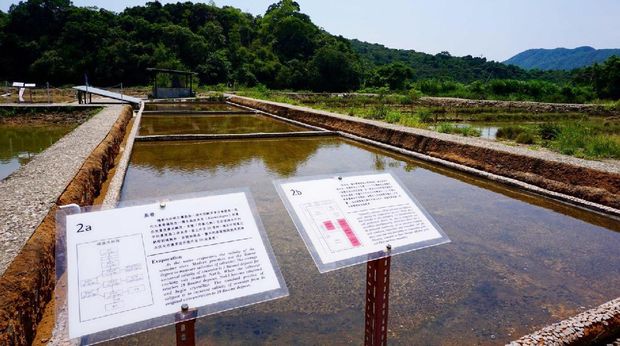 Pulau Hantu yang Bikin Penasaran di Hong Kong