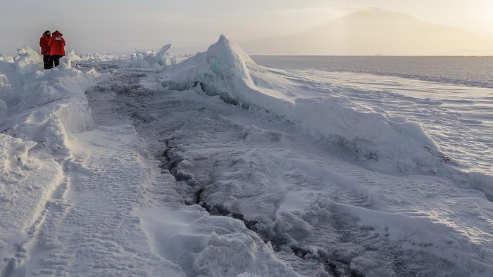 Foto-foto Antartika yang Belum Pernah Kamu Lihat