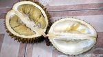 Asyiknya Berburu Durian Malam-Malam di Pekanbaru