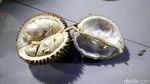 Asyiknya Berburu Durian Malam-Malam di Pekanbaru