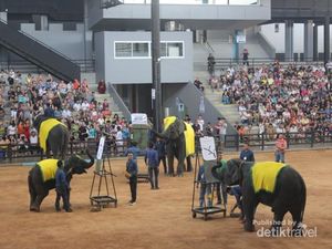 Nonton Pertunjukkan Gajah di Thailand, Bisa!