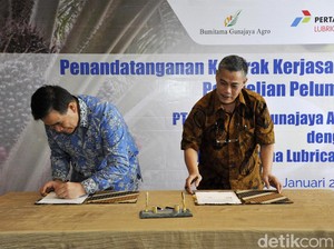 Pertamina Lubricants Dukung Pertumbuhan Pabrik Sawit RI