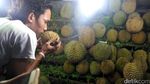 Asyiknya Berburu Durian Malam-Malam di Pekanbaru