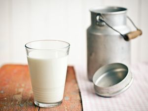 Susu Masih Jadi Barang Mahal di RI, Perlu Disubsidi?