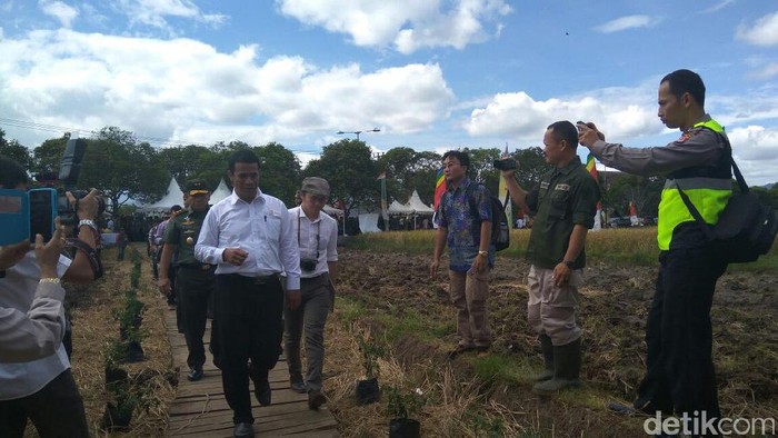 Mentan Cerita Ada Petani di Taiwan Berpenghasilan Rp 3 M/Bulan