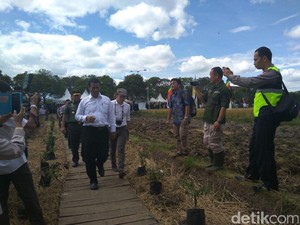 Mentan Yakin Jawa Barat Capai Target Tanam Padi 1,5 Juta Hektar