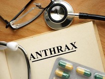 Antraks Ngegas di Gunungkidul, Dinas Pertanian DIY Singgung Budaya Brandu