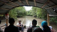 Kawasan Mangrove Blok Bedul memiliki panjang sekitar 16 kilometer. Ini merupakan muara sungai air payau dari Taman Nasional Alas Purwo yang mengalir ke Samudera Hindia. Menuju ke sini tentu saja dengan naik perahu Gondang-Gandung (Ardian/detikTravel)