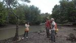 Saat Turis Bule Asyik Blusukan ke Hutan Mangrove Banyuwangi