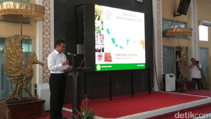 Mentan Sebut Sampai Kiamat RI Tak Impor Beras, Ini Syaratnya