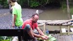 Saat Turis Bule Asyik Blusukan ke Hutan Mangrove Banyuwangi