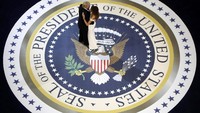 Trump dan Melania juga berdansa di Gedung Museum Nasional. Lagi-lagi keduanya tampil mesra. Pool/Rick Wilking/Reuters/detikFoto.