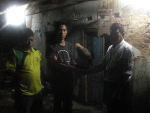 Warga Majalengka Sukarela Serahkan Elang Jawa ke Balai Konservasi