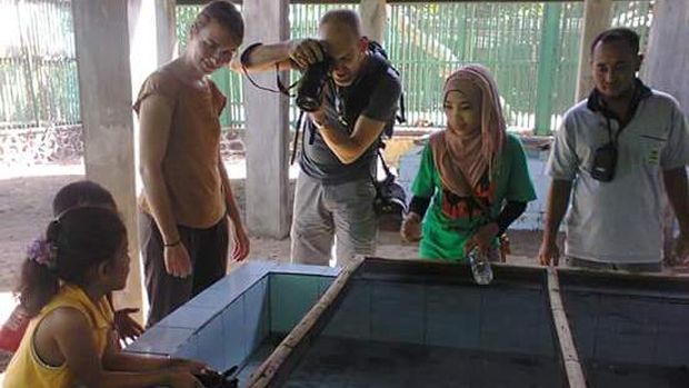 Penangkaran penyu (Ardian/detikTravel)