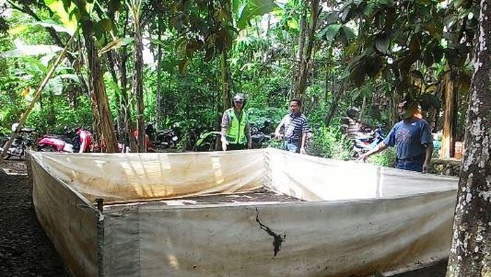 Judi Sabung Ayam Beromzet Puluhan Juta Digerebek