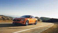 Nama hewan yang dipakai itu pun mewakili karakter mobilnya. Misalnya, nama Ford Mustang yang diambil dari nama kuda mustang. Kuda mustang yang berasal dari Amerika Utara menjadi hewan yang tangguh dan bisa berlari cukup cepat. Tentu karakter kuda mustang juga tercetak di mobil Ford Mustang. Foto: Ford