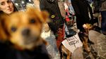 Demo Anti-Trump Meluas