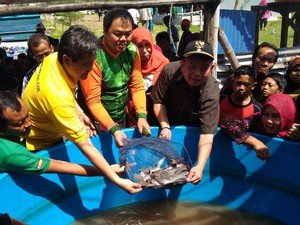 Ajak Makan Ikan, Susi Beri Bantuan Benih Lele ke Pesantren
