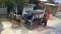 Soal tarif pasti ramah di kantong, kalau dekat Rp 3.000 namun untuk jarak jauh tergantung nego dengan abang bentor.