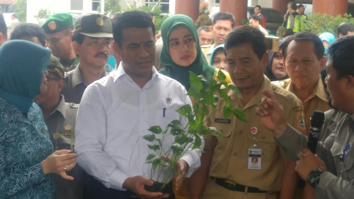 Mentan Optimistis Mampu Wujudkan Lumbung Pangan di Perbatasan