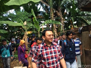 Ahok Mengaku Tak Kuat Berenang ke Kepulauan Seribu