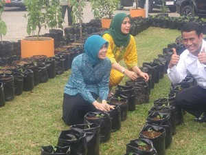 Gerakan Tanam Cabai dan Bawang di Halaman Rumah Digelar Serentak