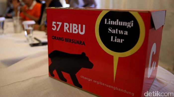 Warga Serahkan Beruang Madu Secara Sukarela ke BBKSDA Riau