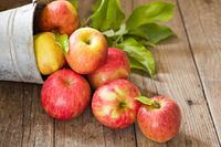 Cara Memilih Apel yang Cocok untuk 'Apple Pie' hingga Saus Apel