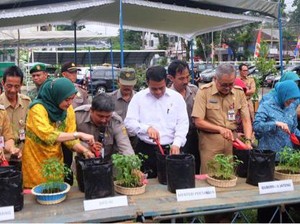 Mentan Ajak Ibu-Ibu PKK di Seluruh Indonesia Tanam Cabai di Pekarangan