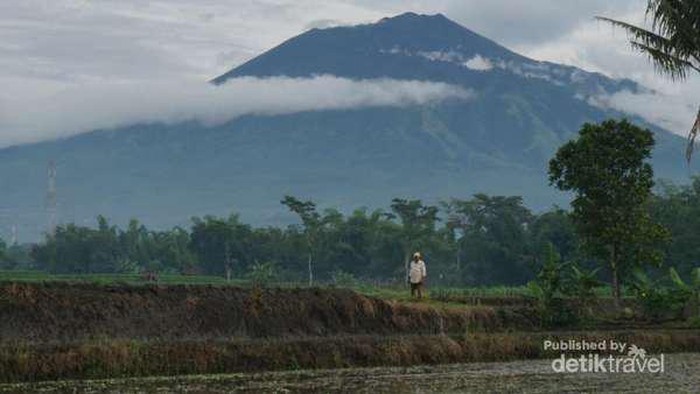 Gunung Arjuna