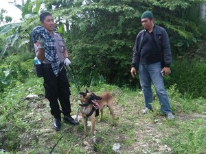 2 Napi Kabur Masih di Nusakambangan, Anjing Pelacak Diturunkan